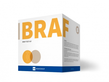 BRAF Mutation Detection Kit